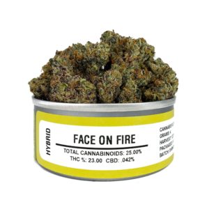 face on fire strain